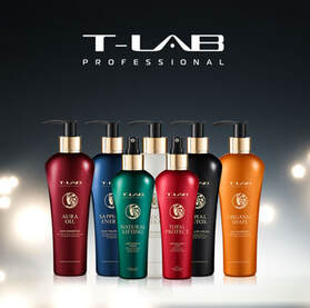 T-LAB