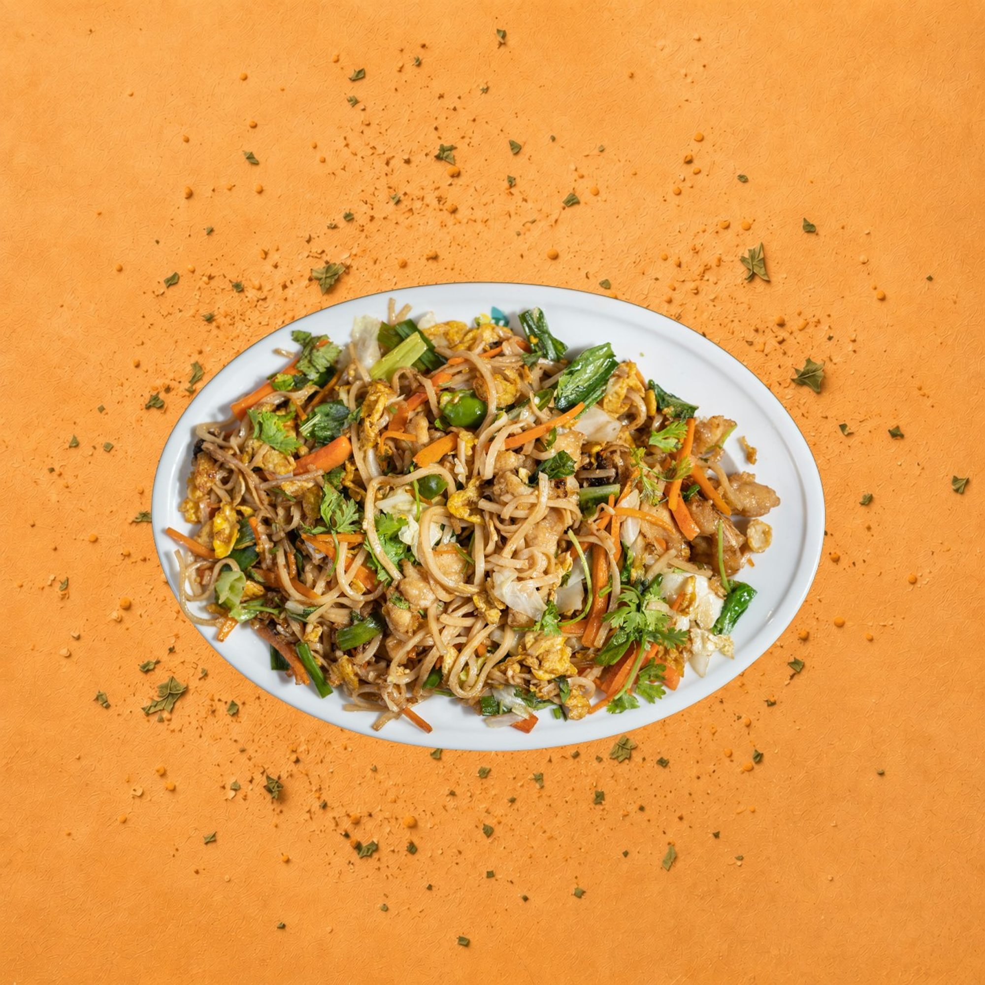 Chicken Noodles