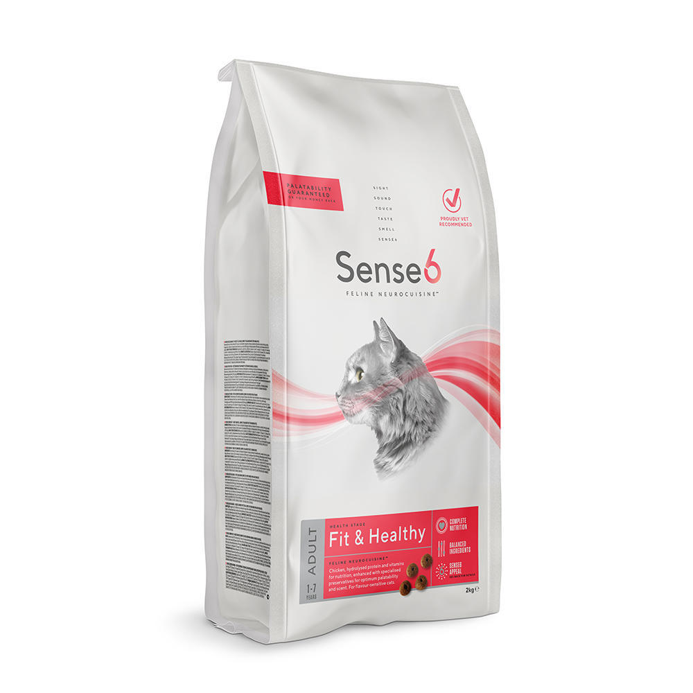 Sense6 Adult Cat Healthy