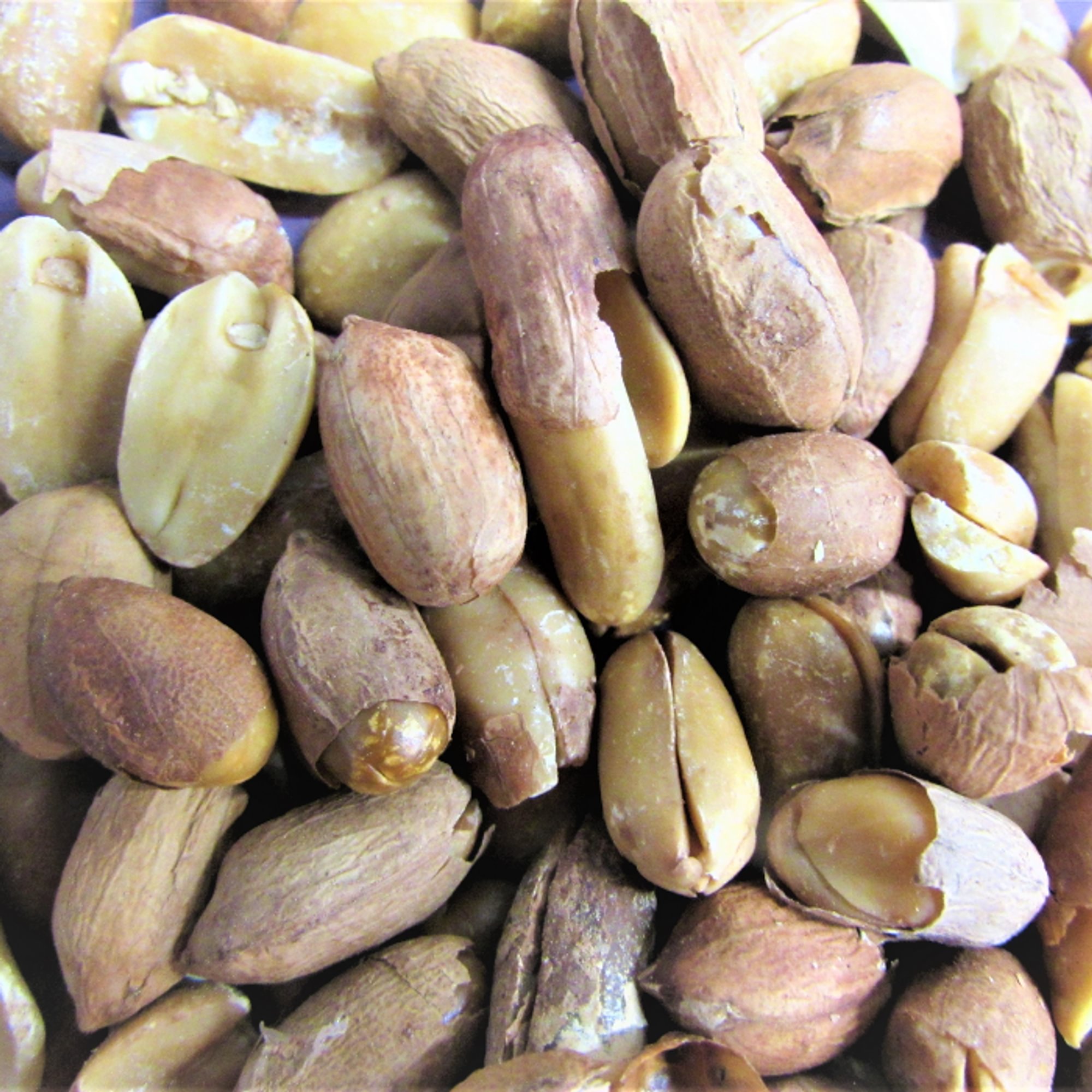 Roasted Peanuts (Pistache)