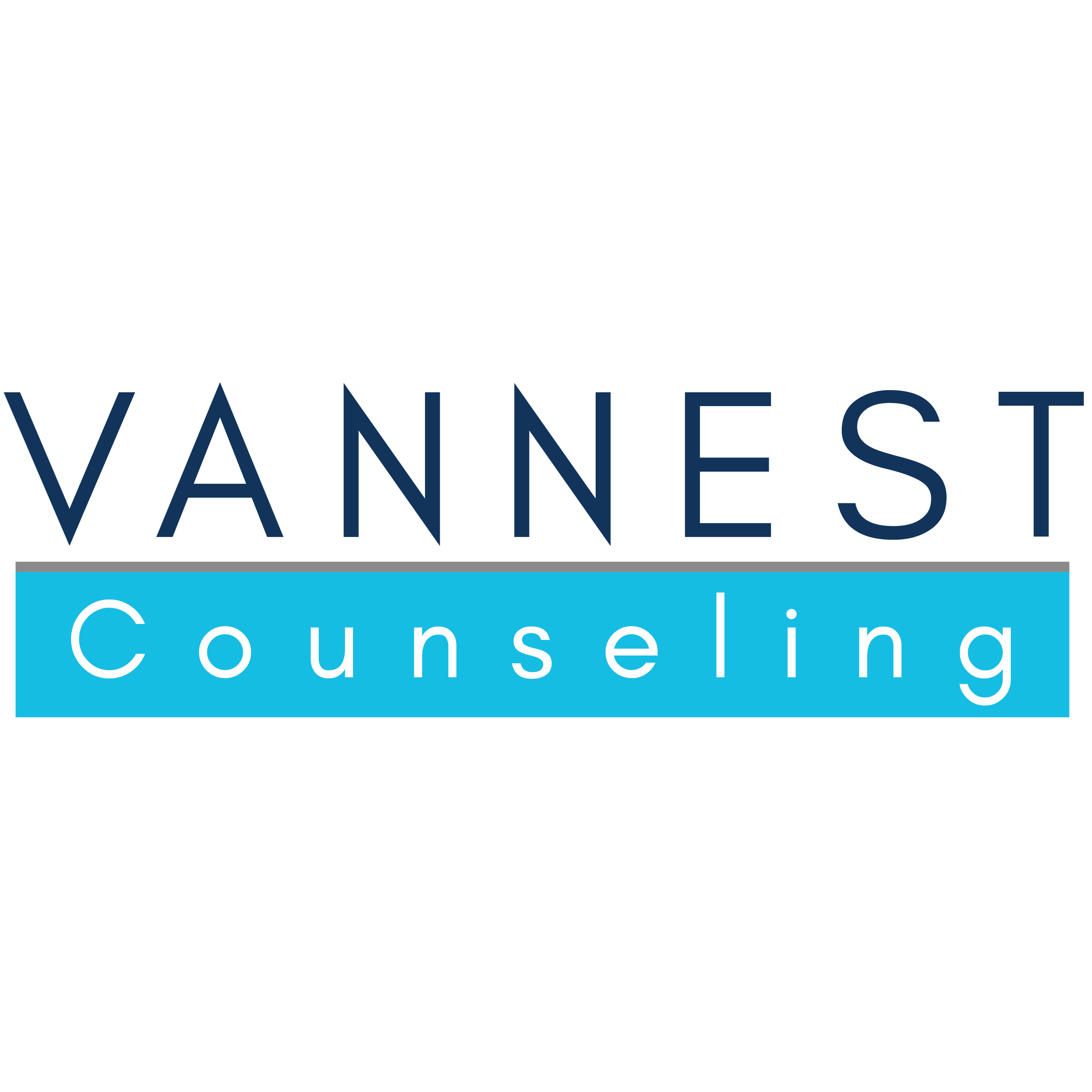 Vannest Counseling