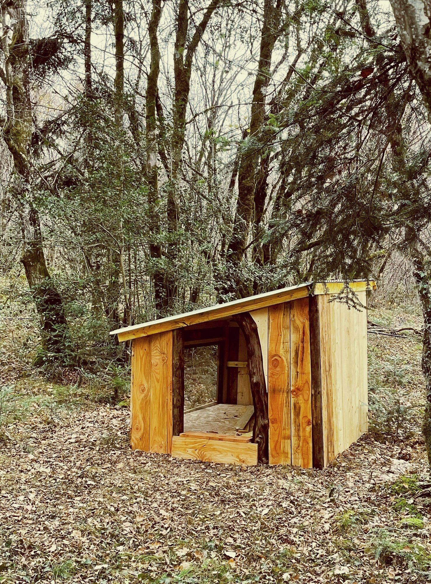 Miniature de la galerie