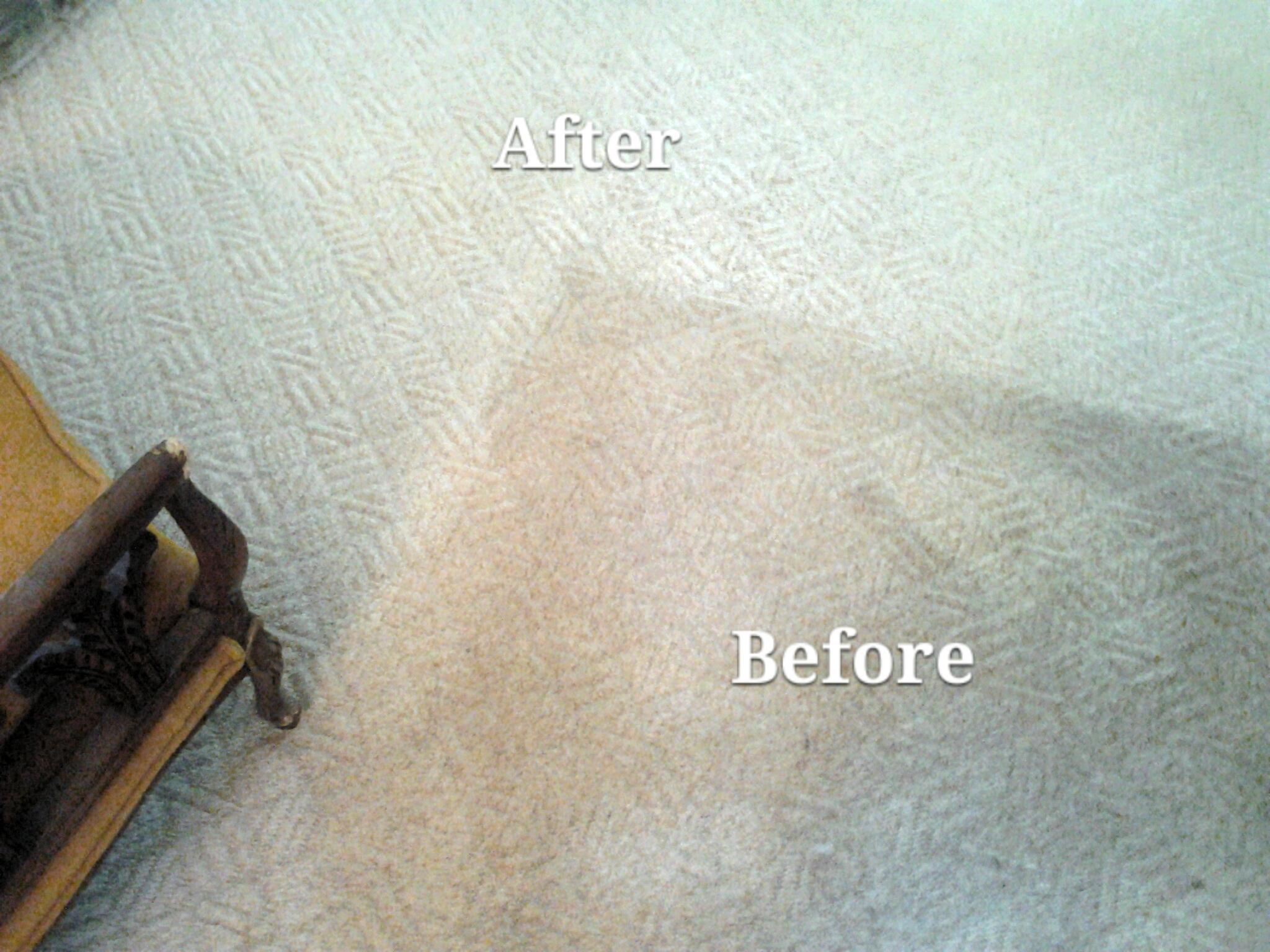 Berber Carpet cleaned 1/6/15 in Newtown PA.