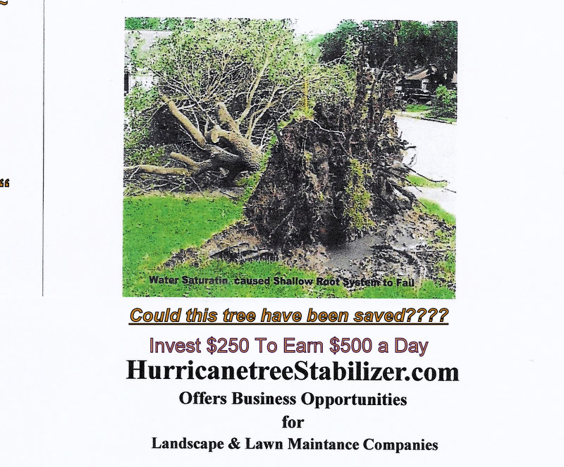 Hurricane Tree Stabilizer Logo