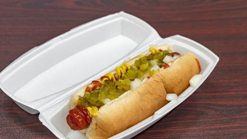 Traditional Dog