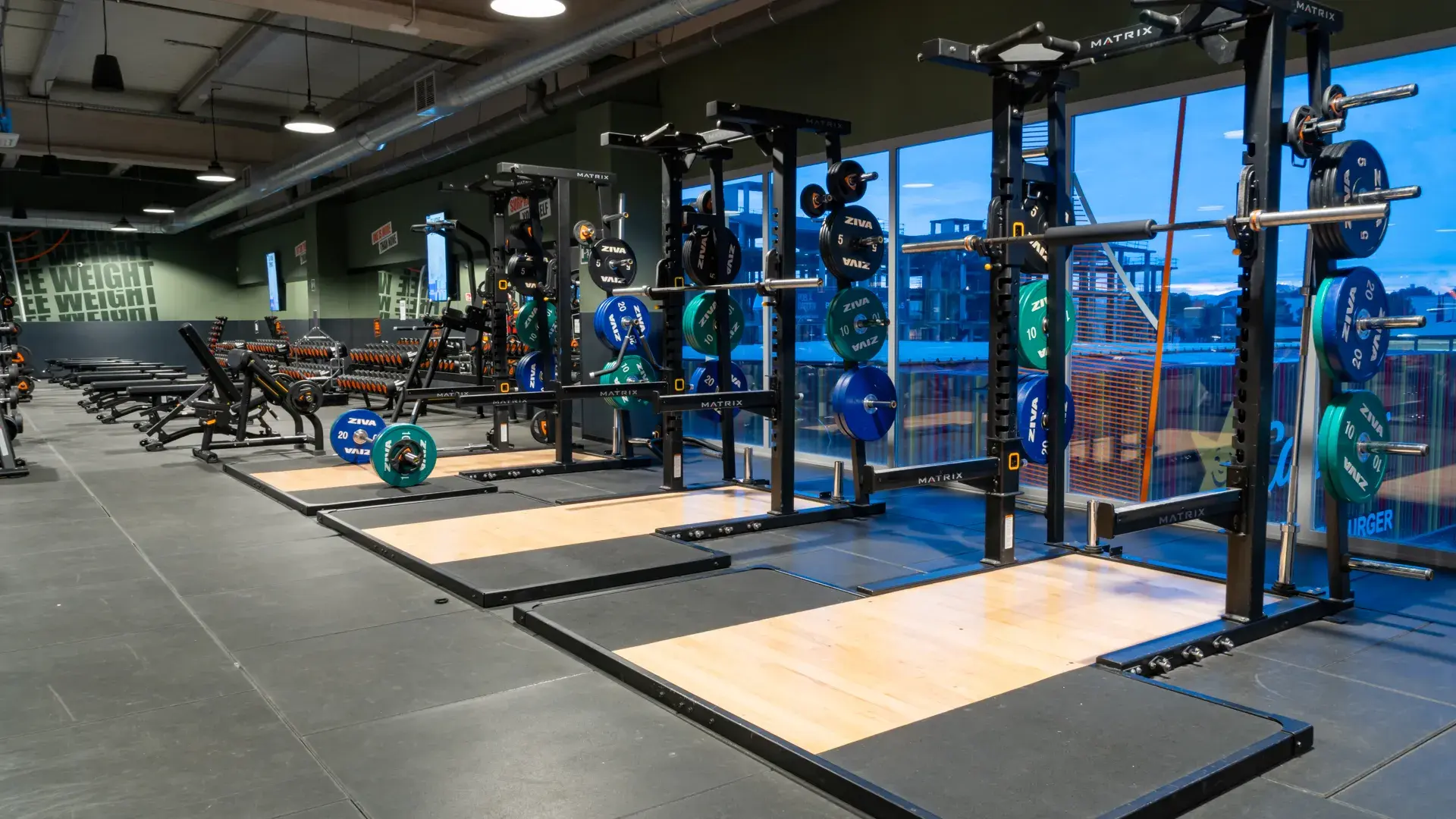 Galería de imágenes