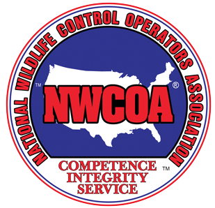 NJ Pest Control Image