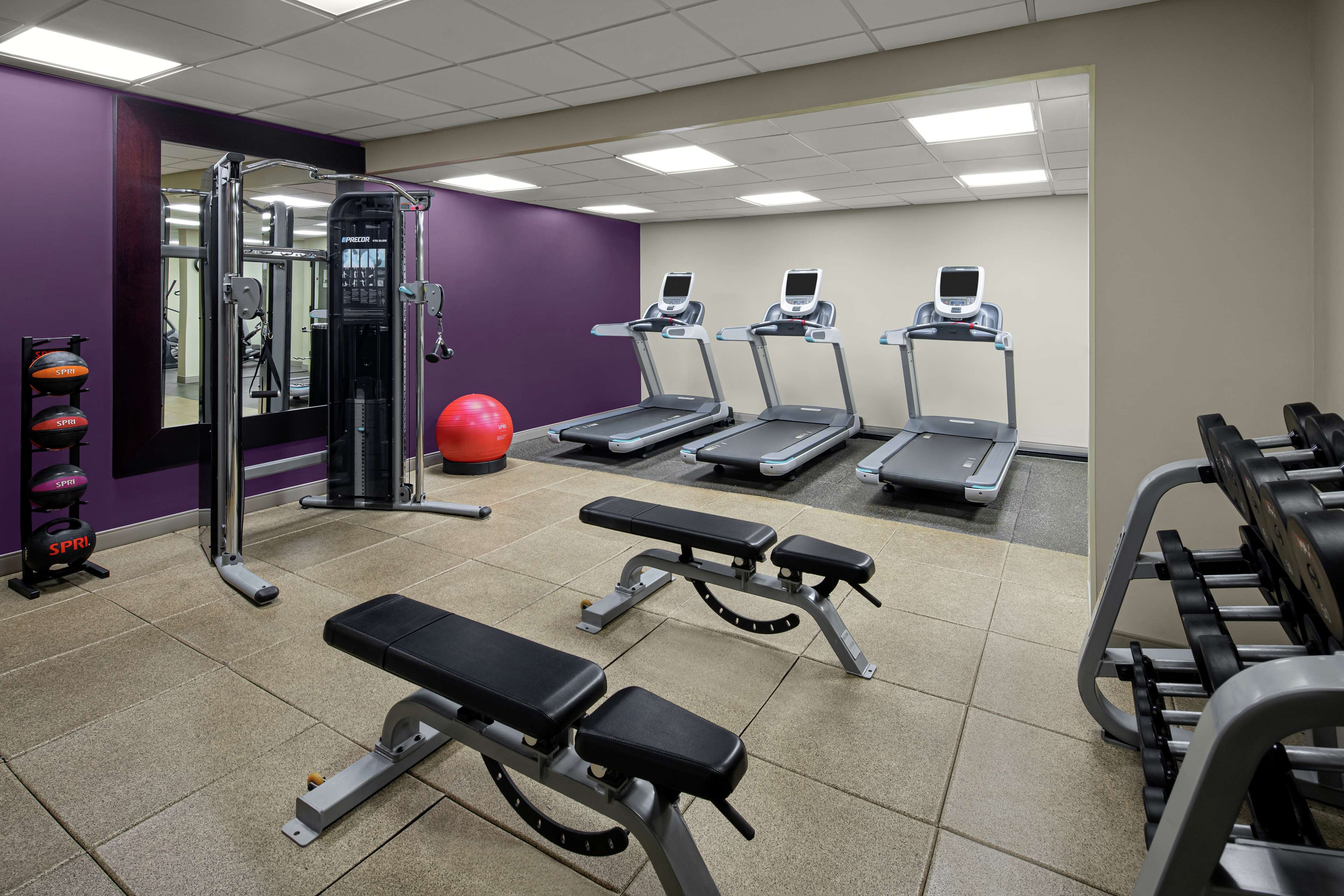 Health club  fitness center  gym