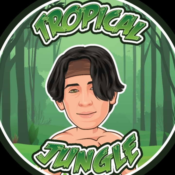 Logo von Tropical-Jungle