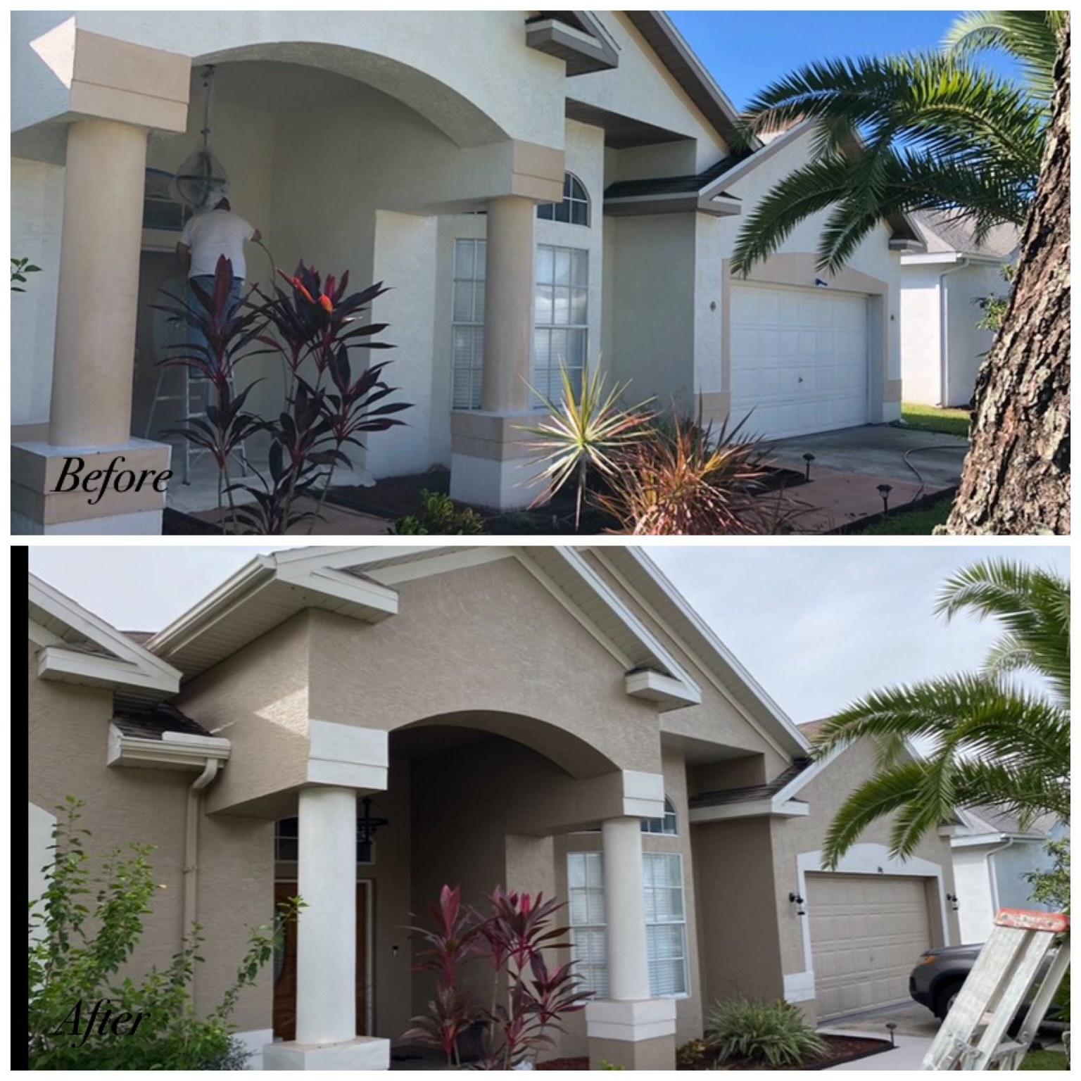 Peach Painting Image