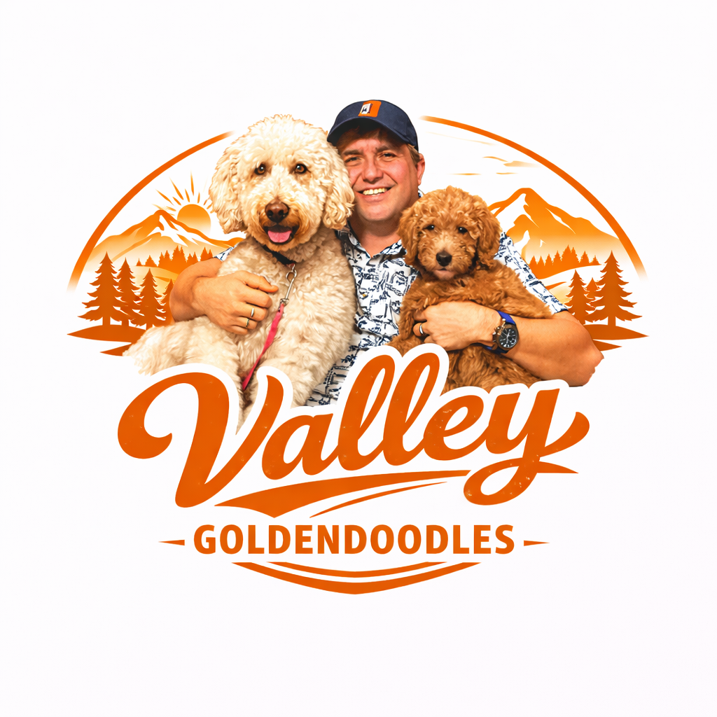 Valley Goldendoodles