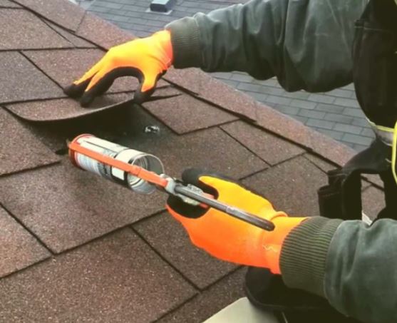 Innovative Roofing Image