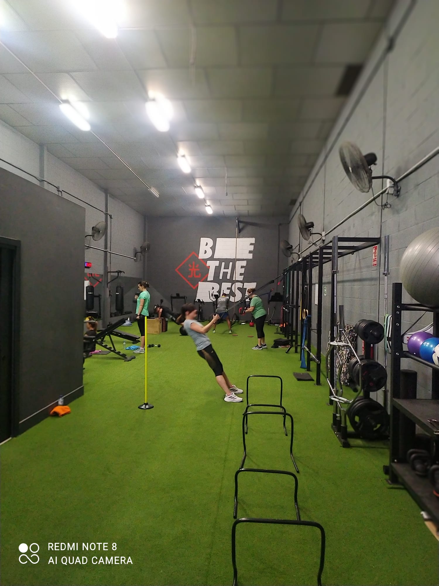 Galería en miniatura