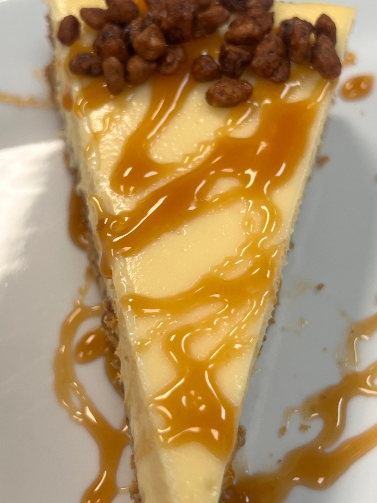 Turtle Cheesecake