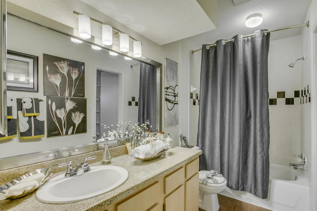 Images The Regatta Apartments