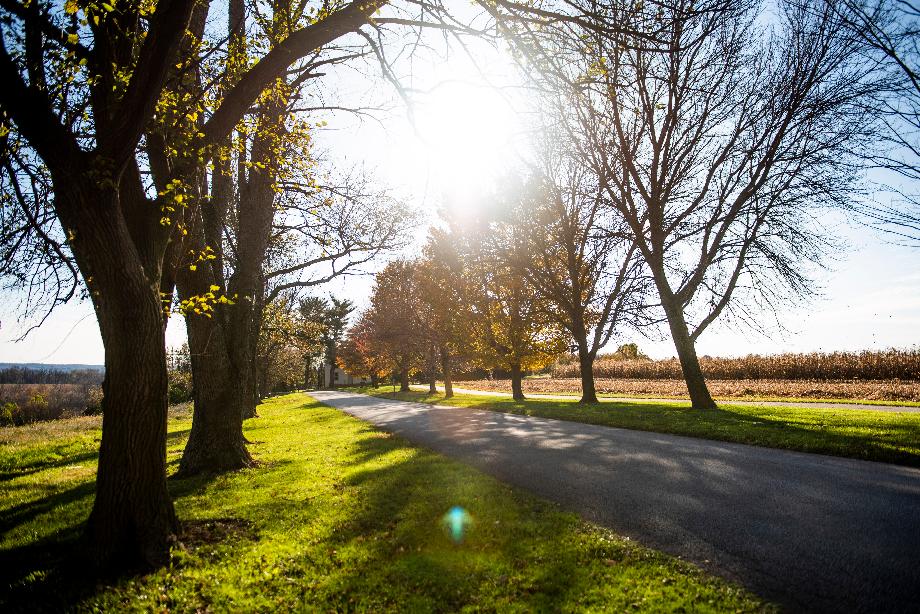 Nearby Valley Forge National Historical Park