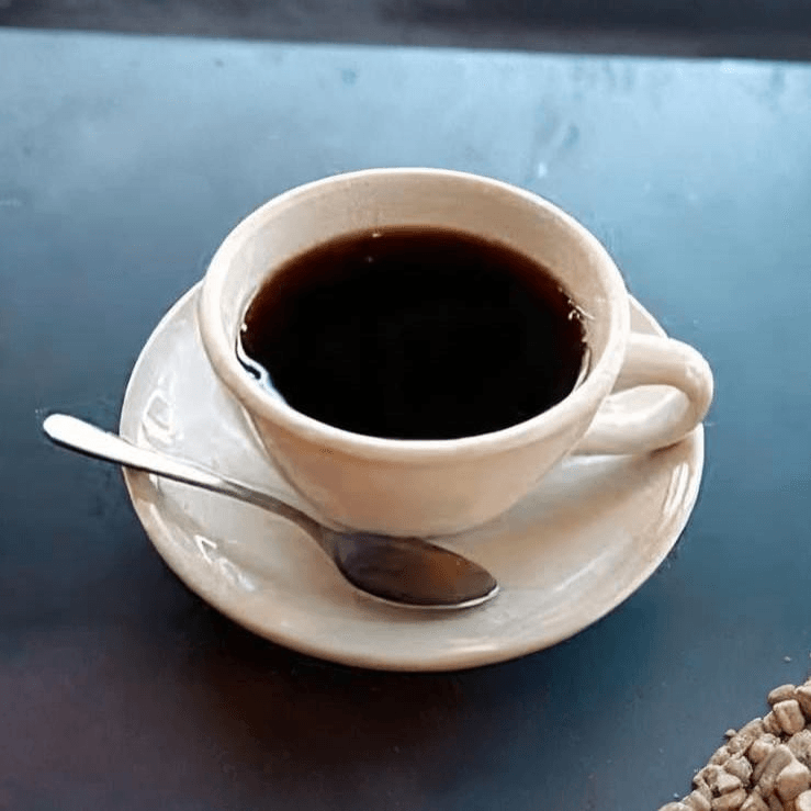 Vietnamese Iced Black Coffee with Condensed Milk