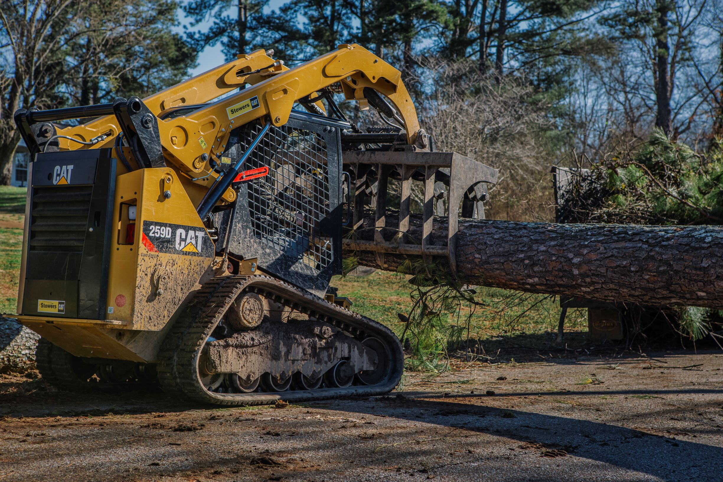 Lumberjacks Tree Service Photo