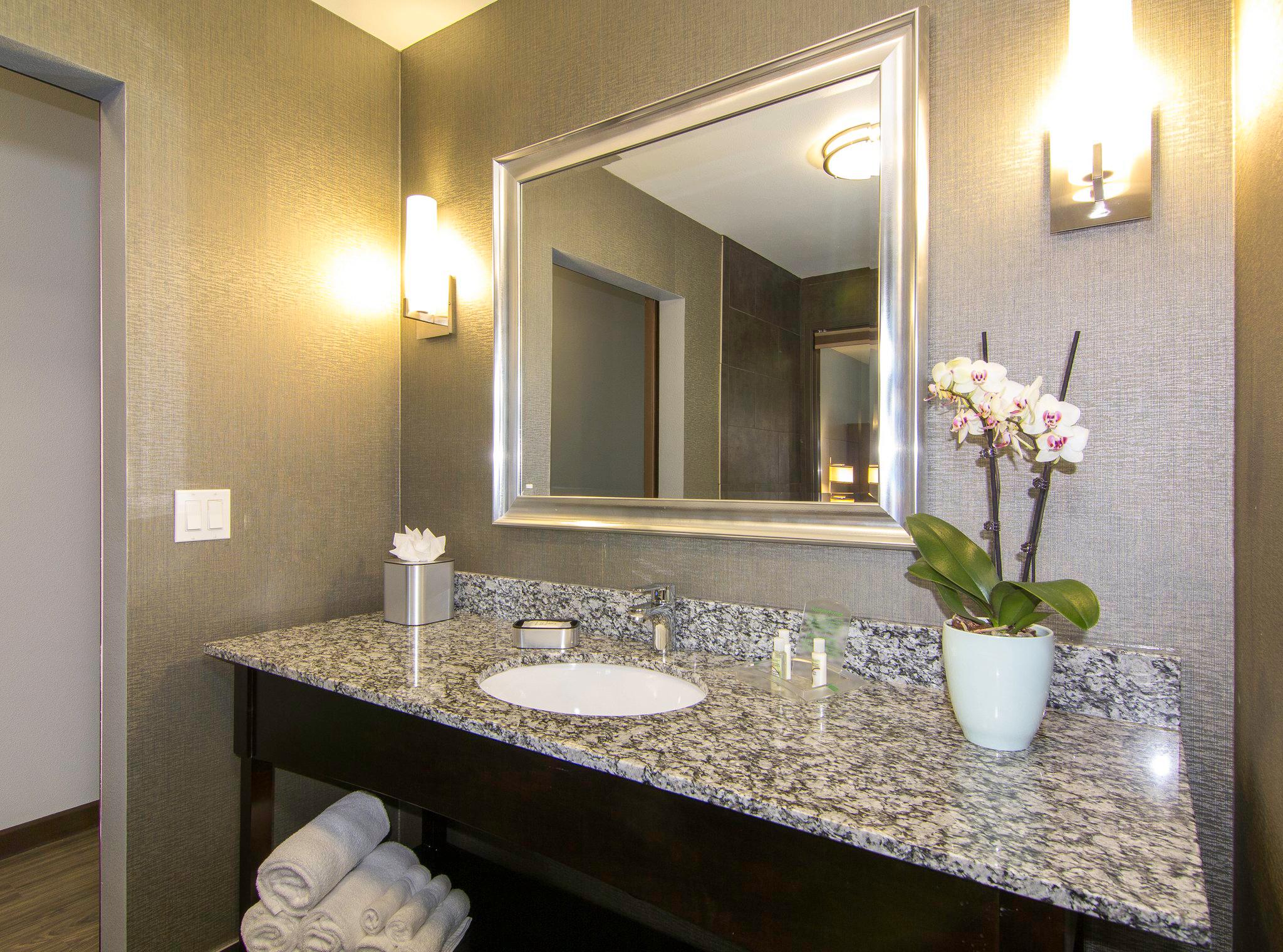 Holiday Inn Carlsbad - San Diego Photo