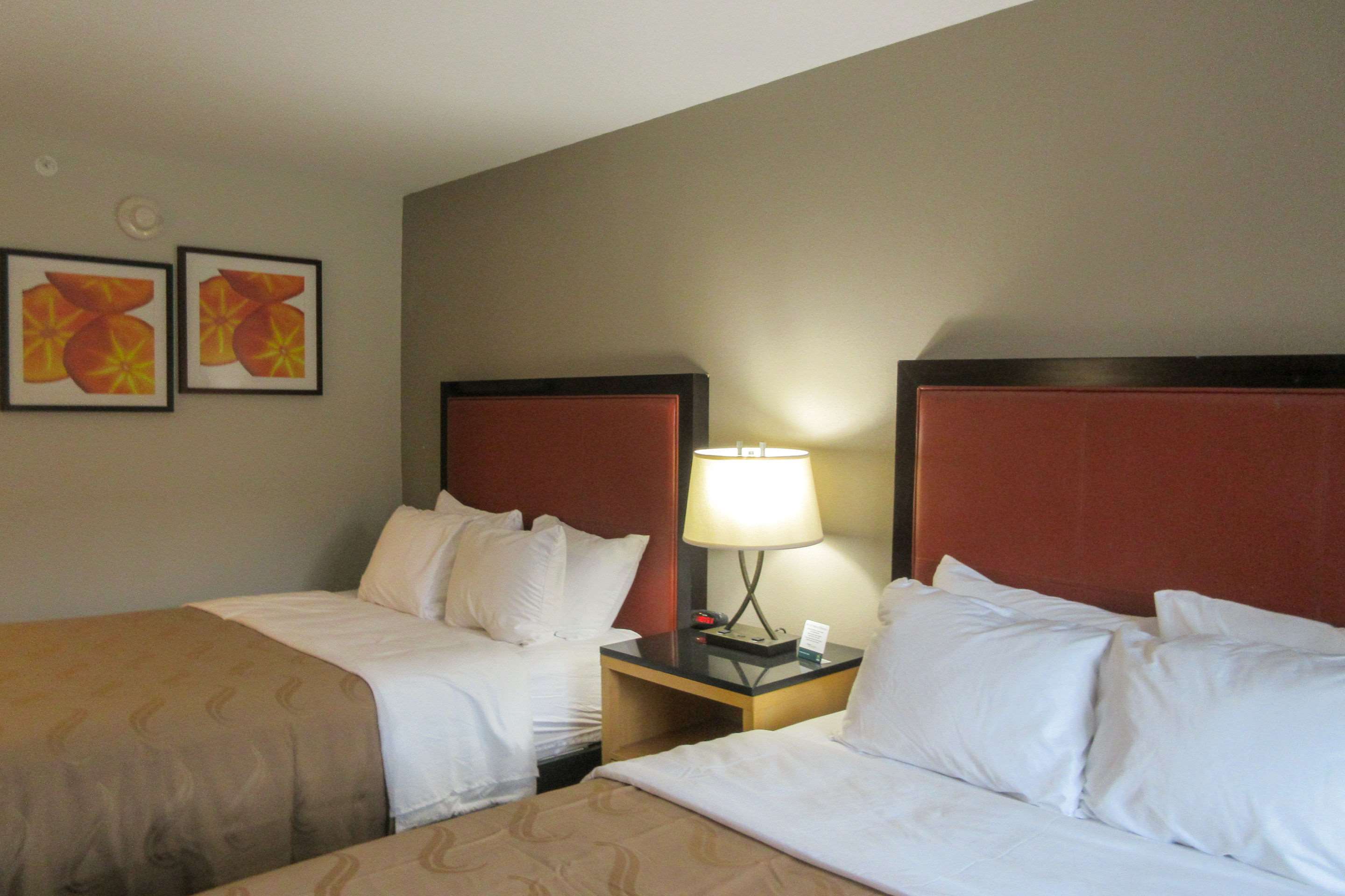 Quality Inn & Suites Evansville Downtown Photo