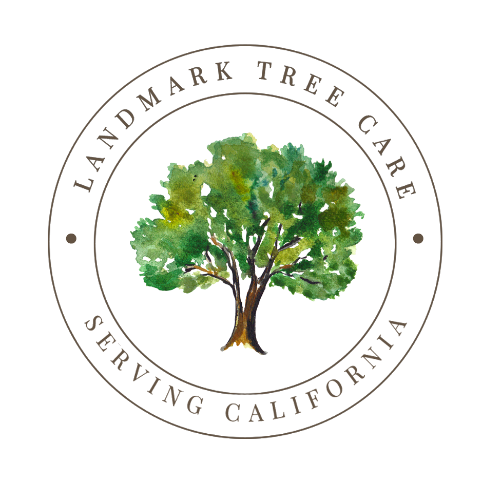 Landmark Tree Care