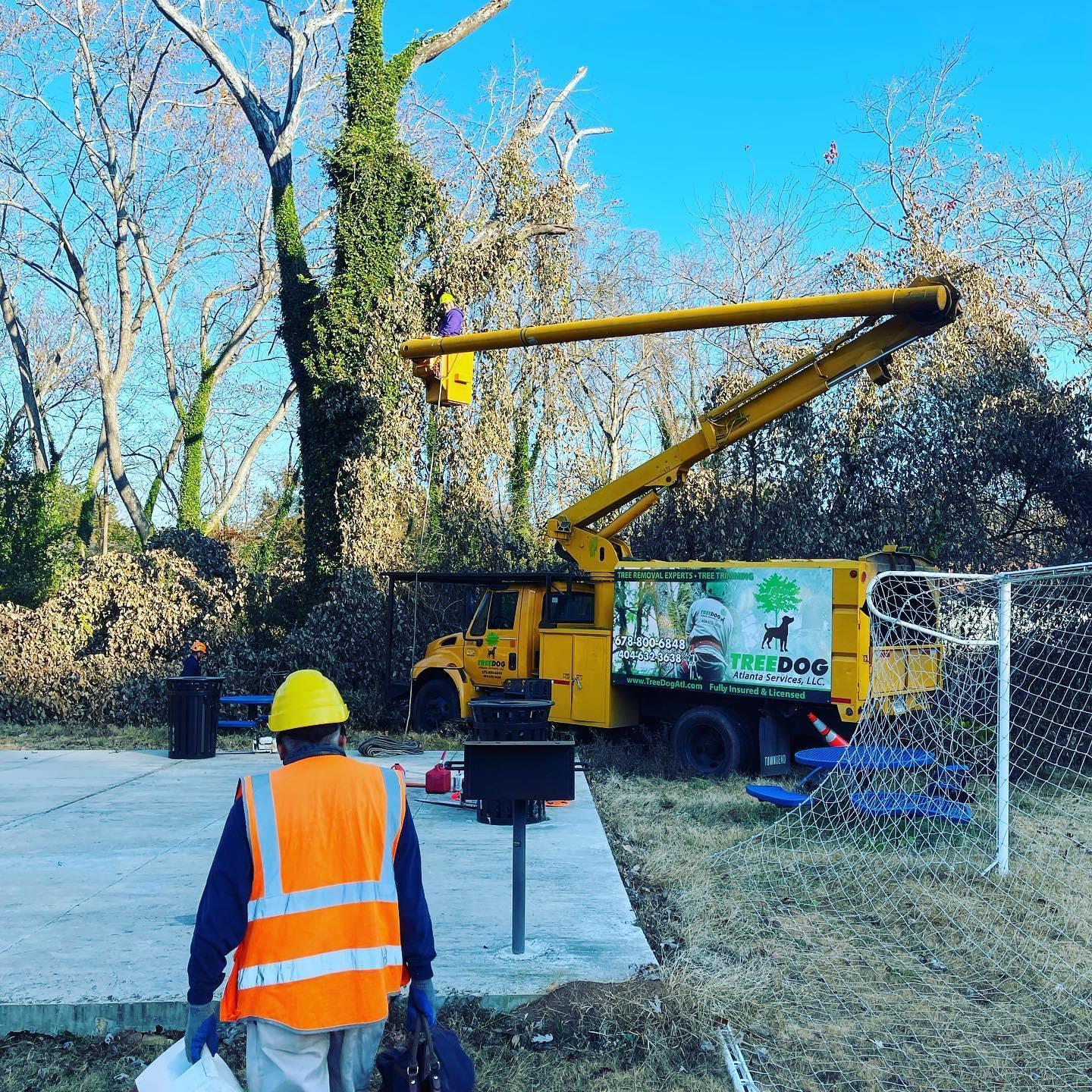 TreeDog Atlanta Services LLC Image