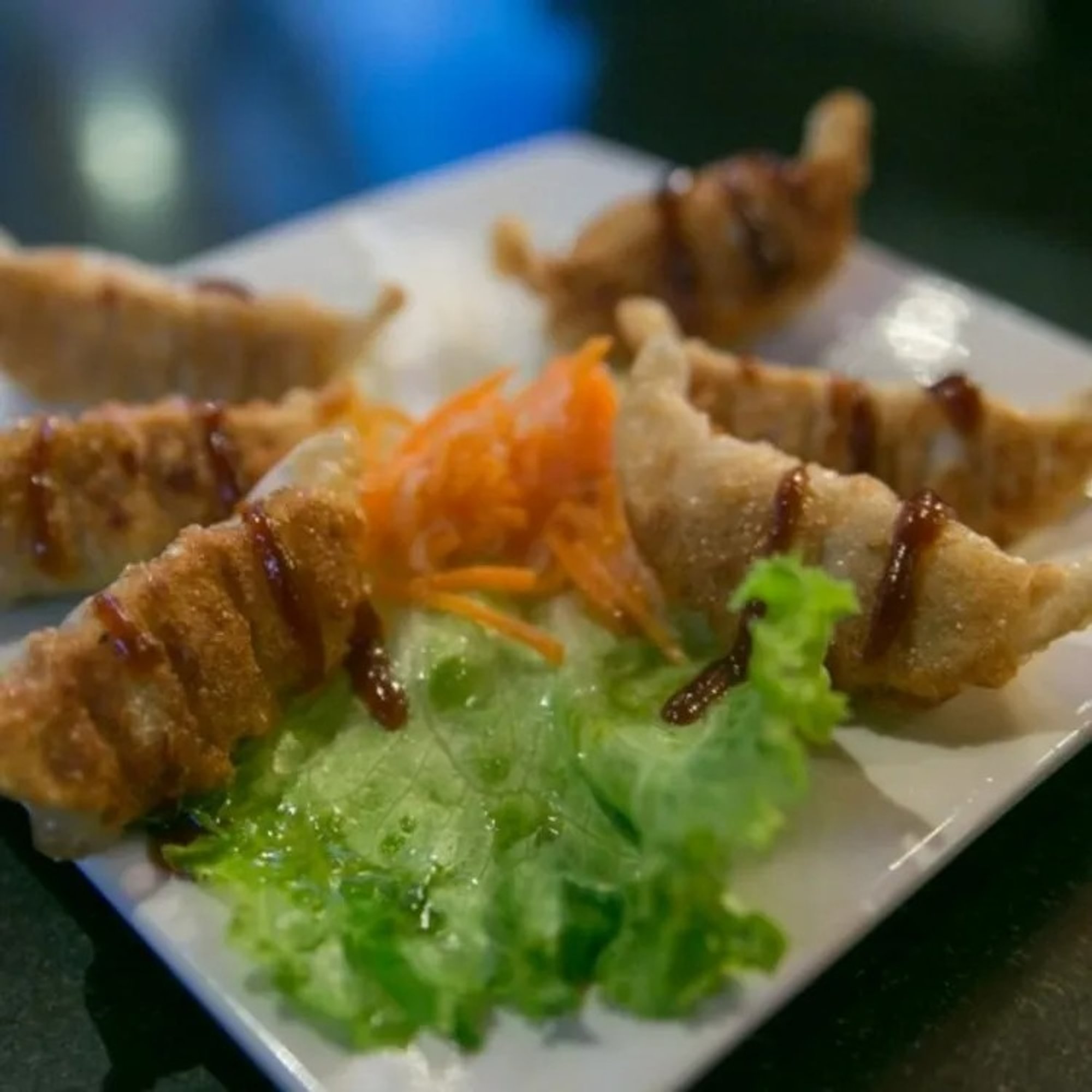 Pot Sticker (6)