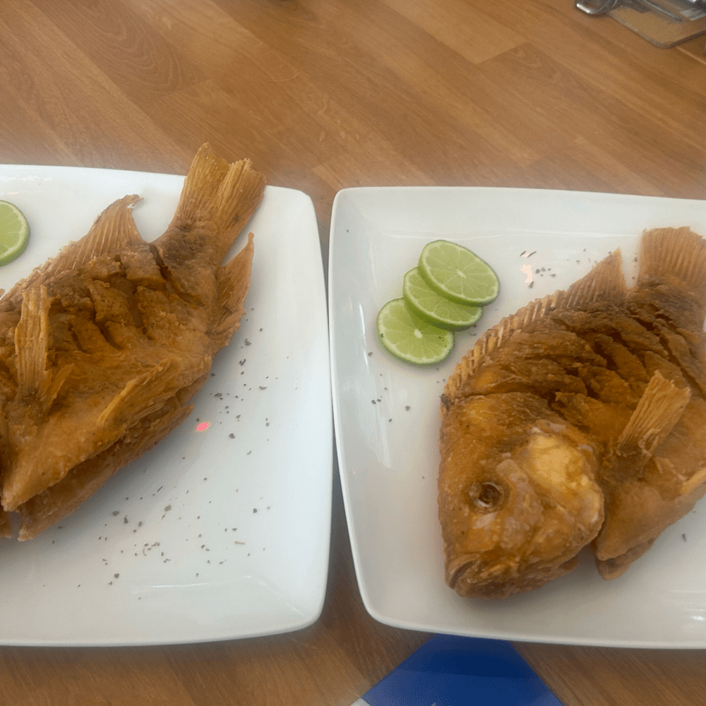 Mojarra (2x30)