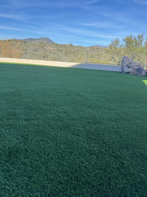 Waterloo Turf Scottsdale Image