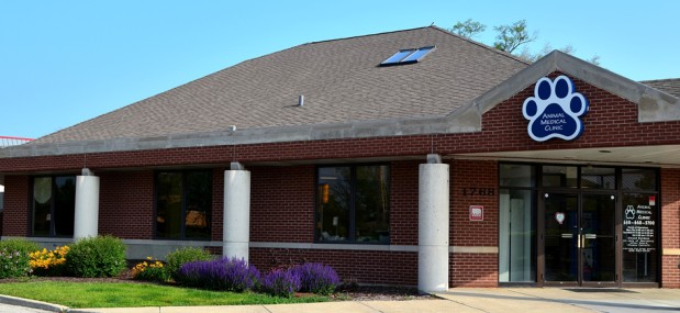 Animal Medical Clinic Image