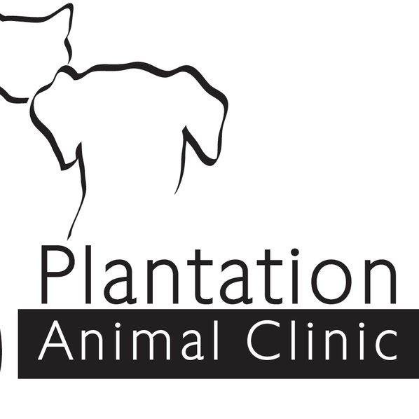 Plantation Animal Clinic Photo