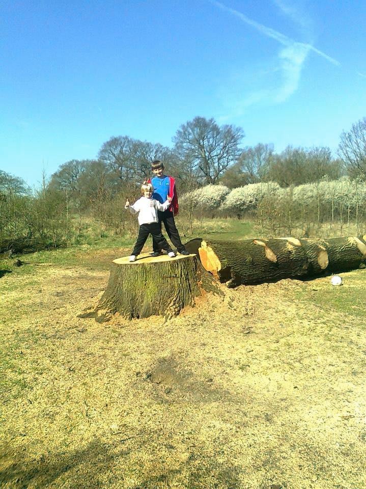 Images Tree & Garden Services