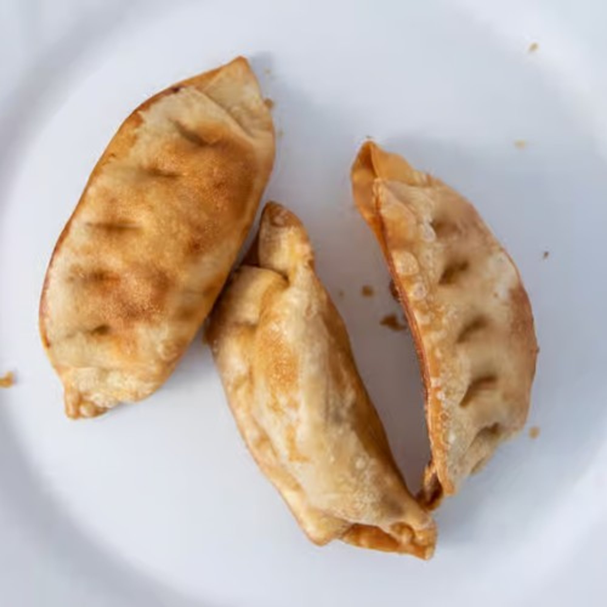 Fried Dumplings (3)