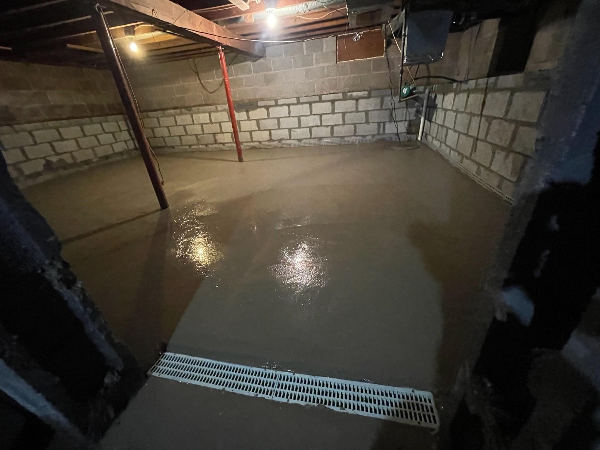 Basement Gurus LLC Image