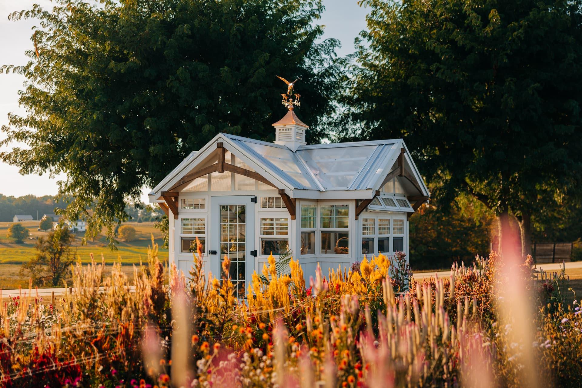 Twin Oaks Barns