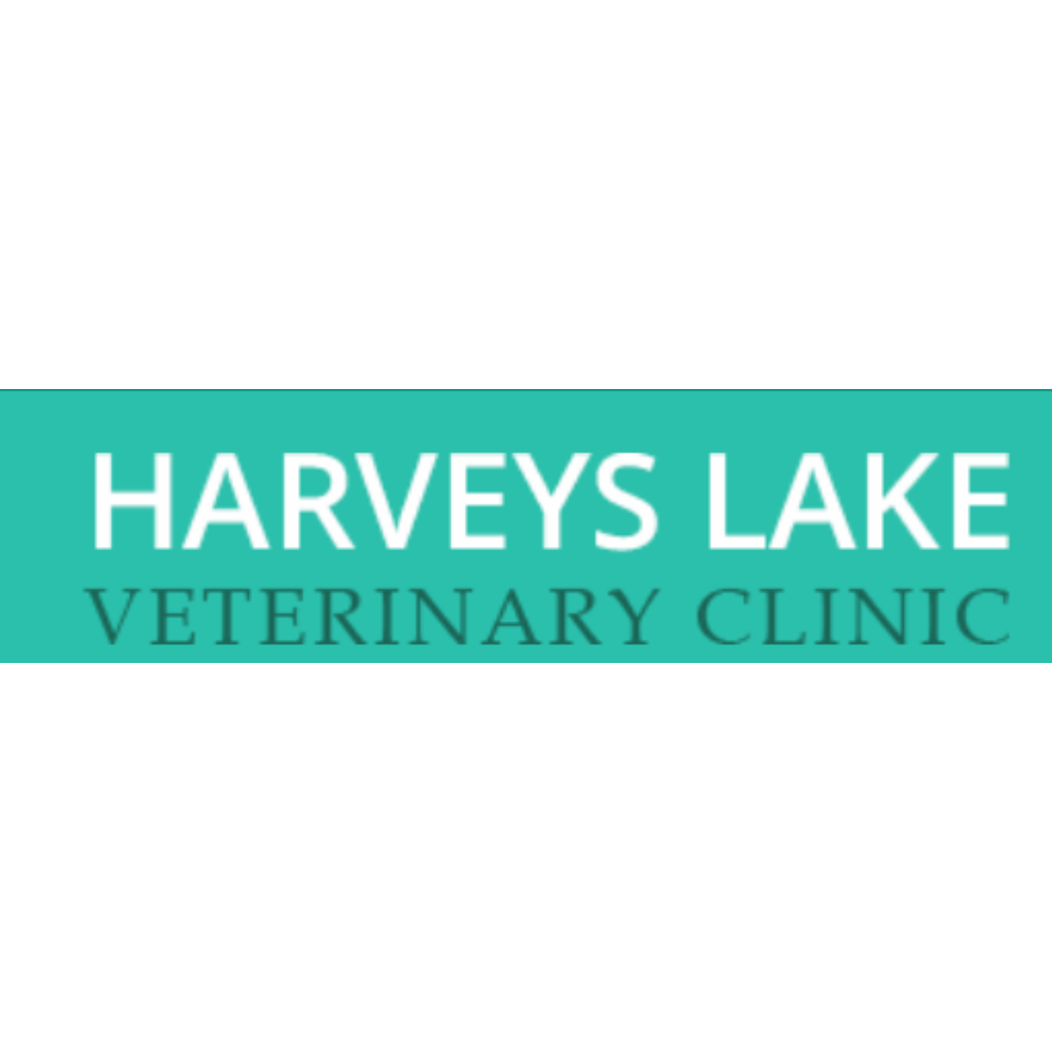 Harveys Lake Veterinary Clinic