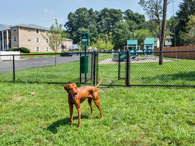 Lehigh Square Apartment Homes Photo