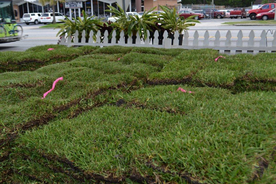 Olde Savannah Garden Logo