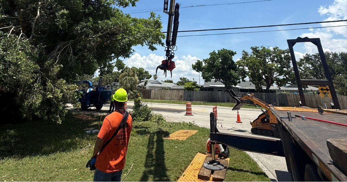 My Florida Tree Guys Image