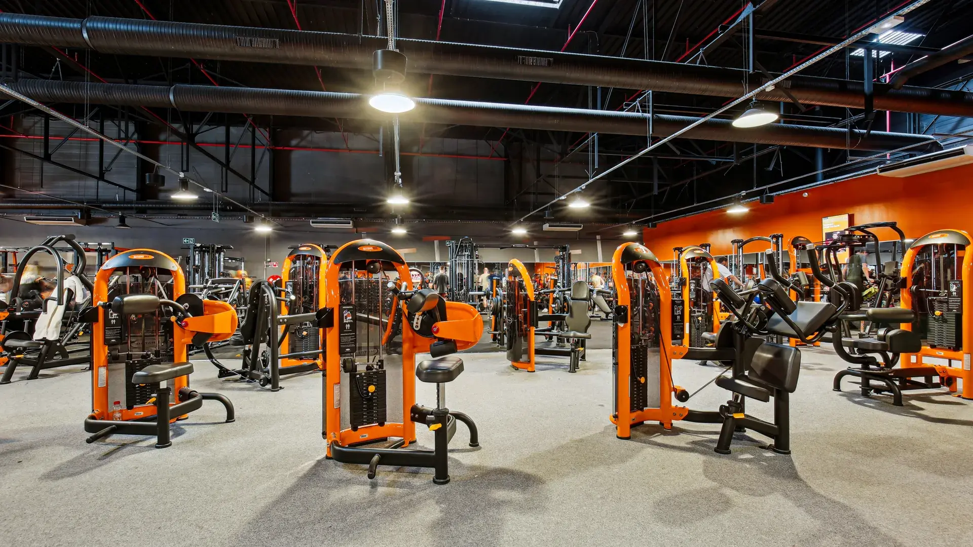 Miniature de la galerie