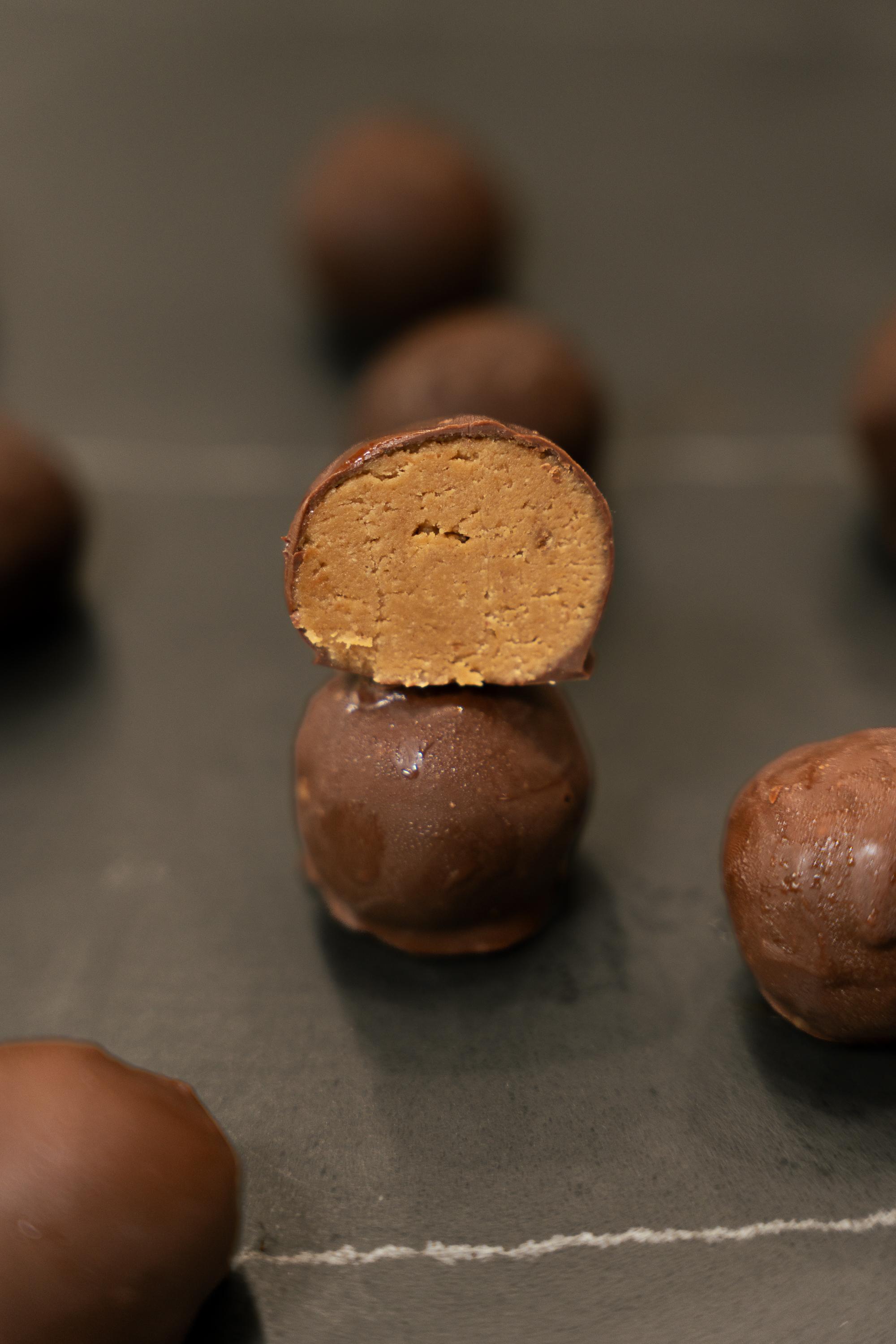 Fresh Monkee - Taunton Image