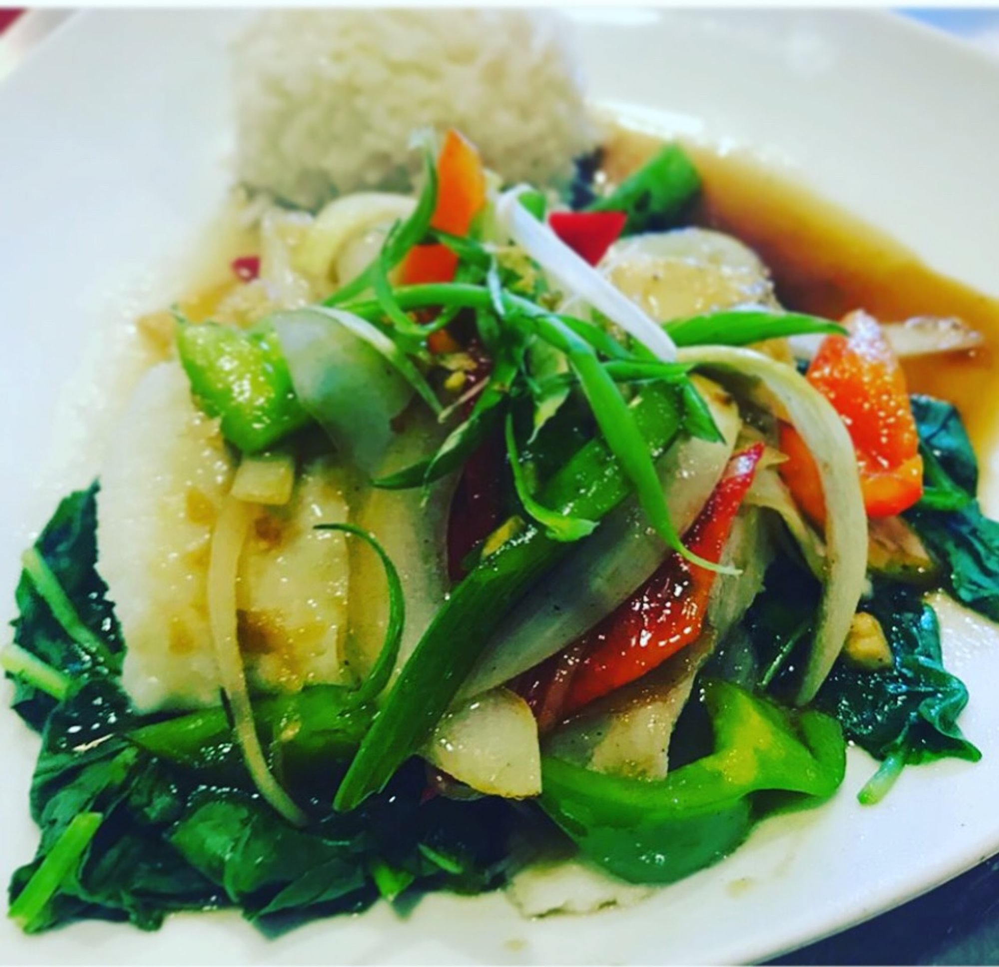 Healthy Sea Bass