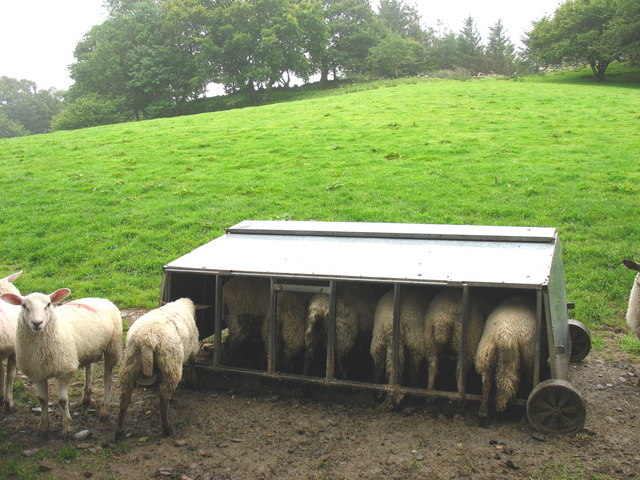 Pasture Feeder