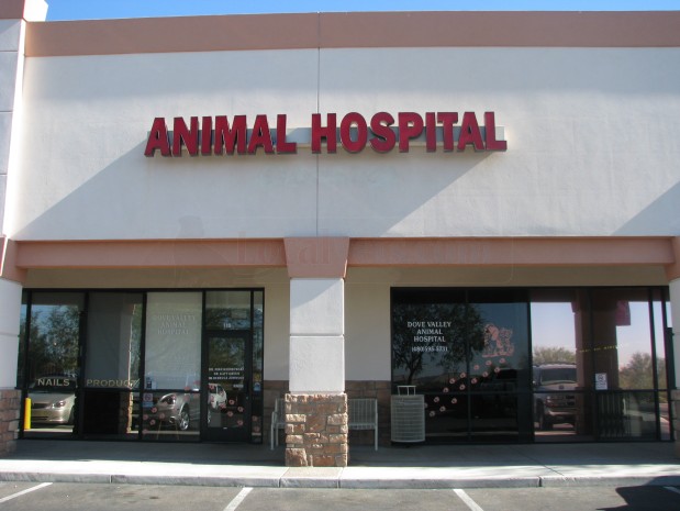 Dove Valley Animal Hospital, Plc in Cave Creek, AZ 85331 | Citysearch