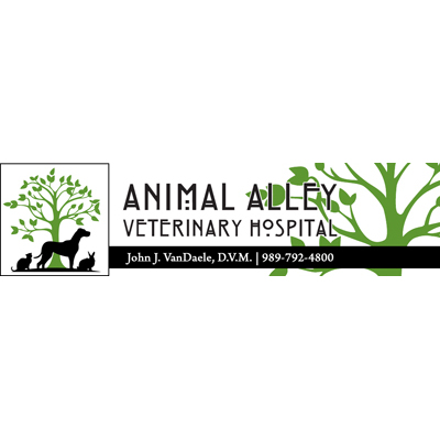 Animal Alley