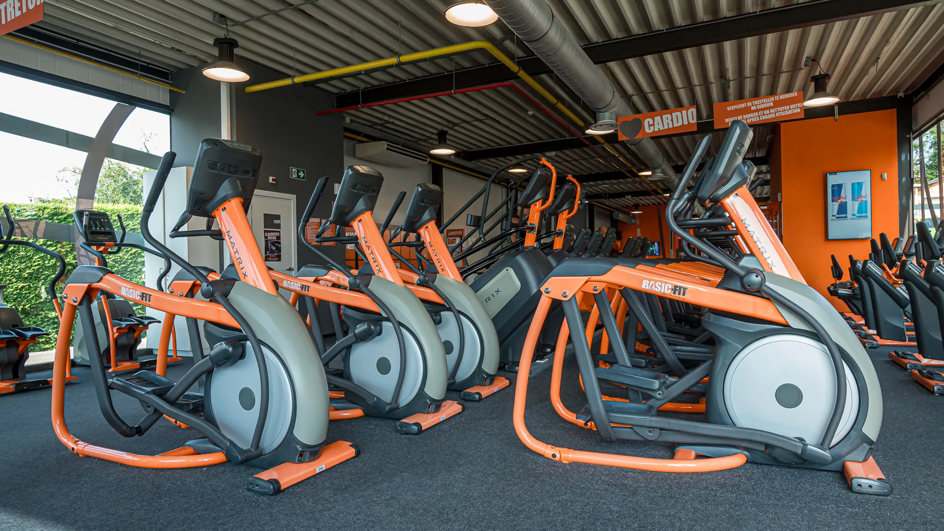 Miniature de la galerie