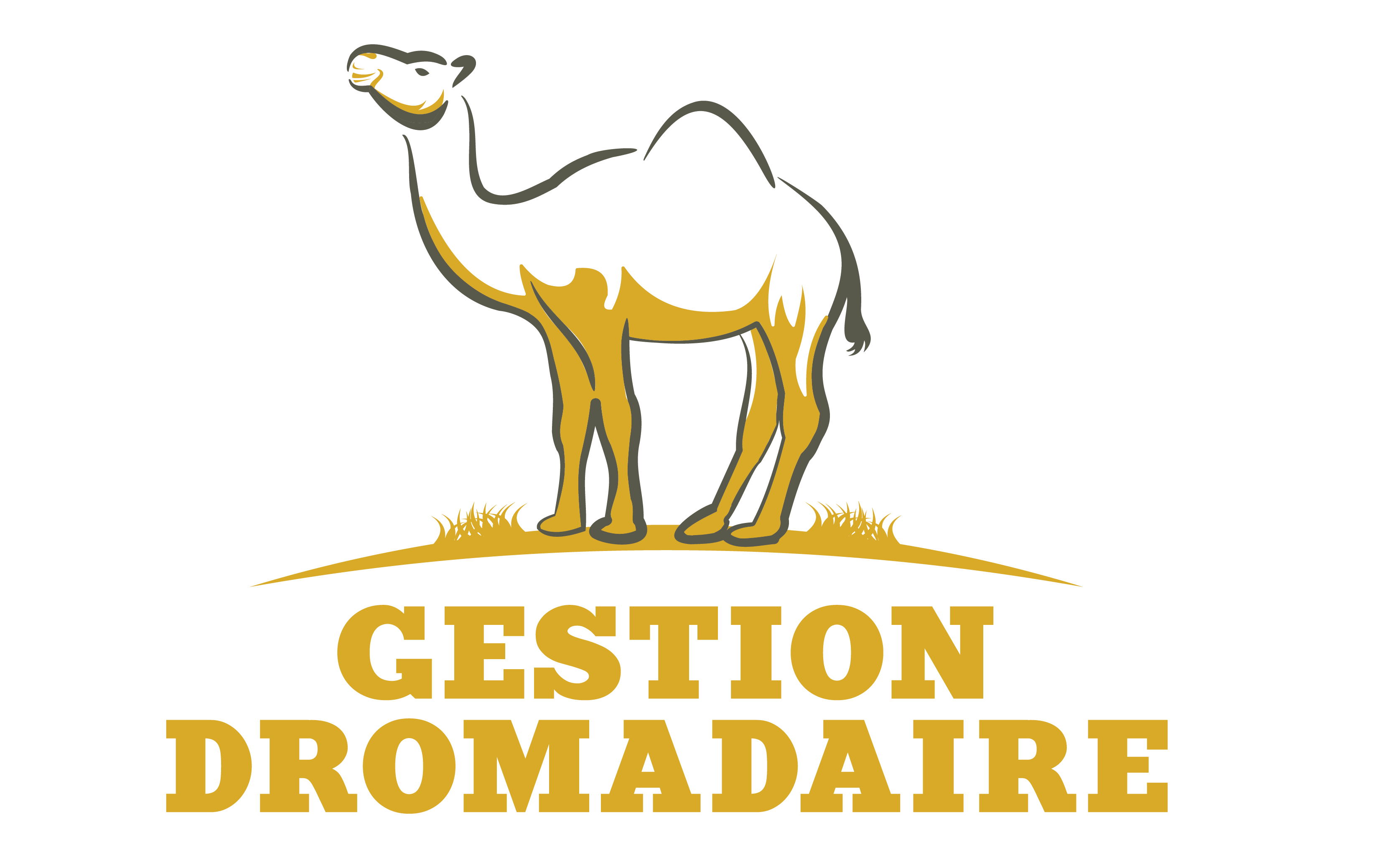 Gestion Dromadaire
