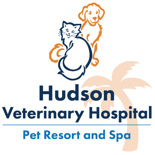 Hudson Veterinary Hospital Pet Resort and Spa | 176 N Highland Ave, Ossining, NY, 10562 | +1 (914) 762-0063