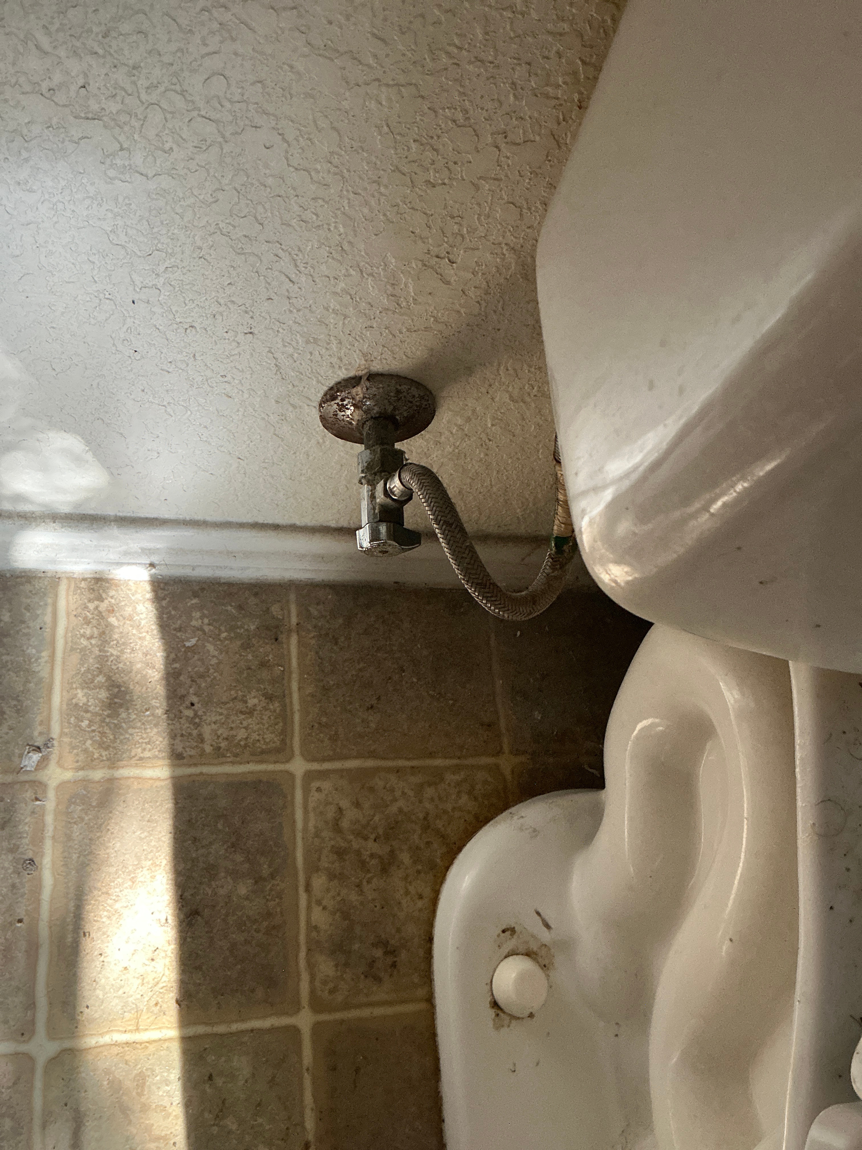 Bailey's Plumbing Services LLC Image