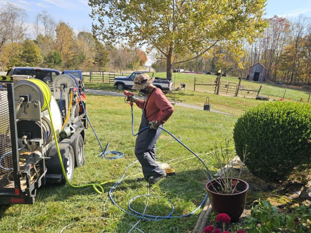 Roof Cleaning